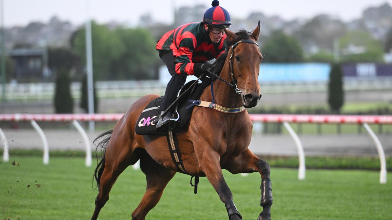 Chris Waller berseri -seri saat Lady Shenandoah menyelesaikan persiapan lembah untuk taruhan manikato