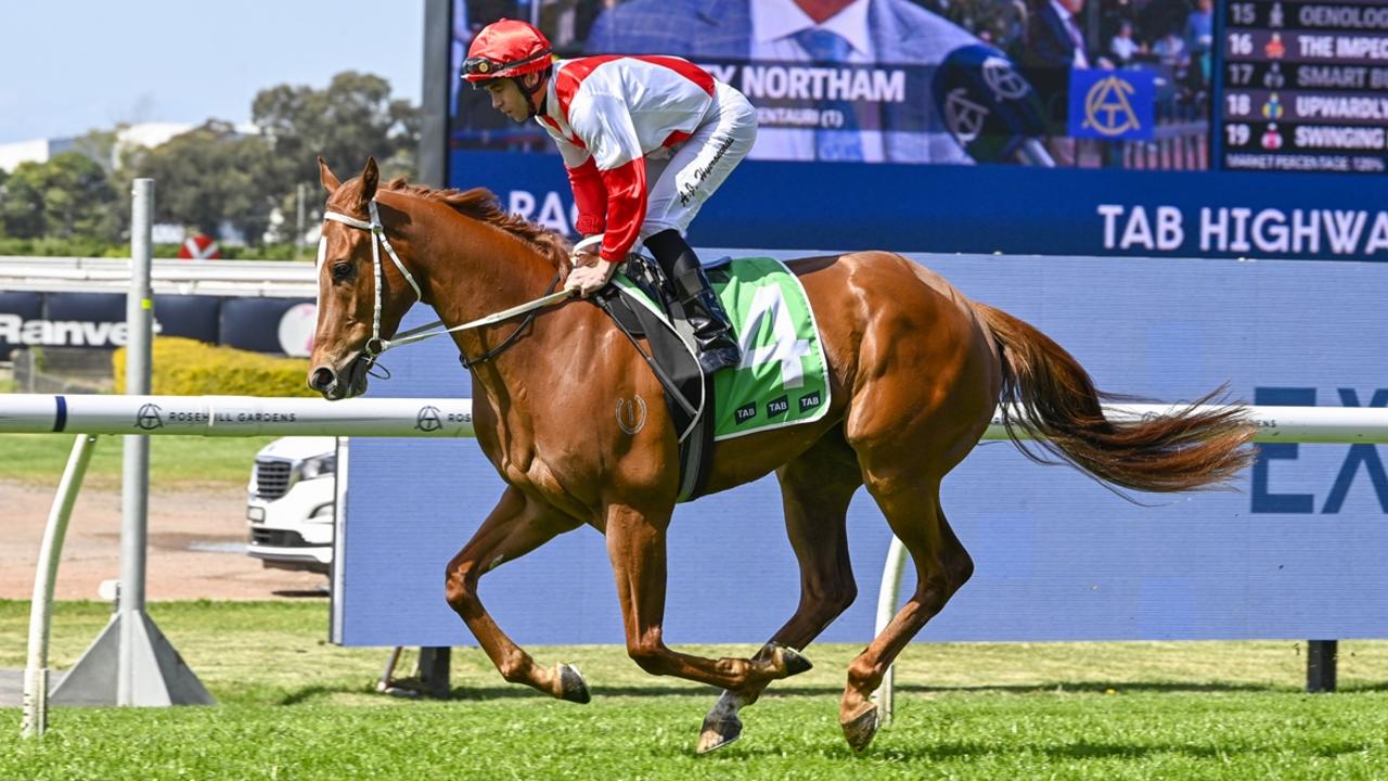 Pratinjau dan Tips Grafton dan Narromine untuk pertemuan hari Senin