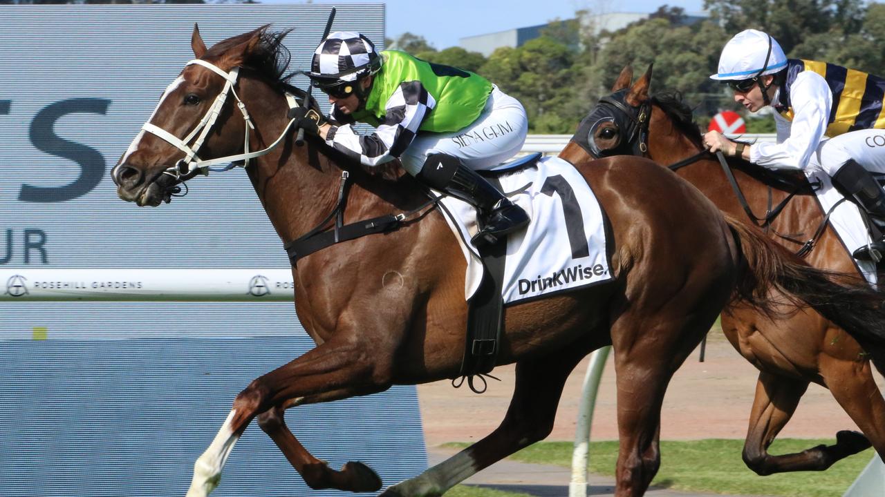 Pratinjau Newcastle: McEvoy Mengejar Piala Newcastle Kelima di Form Stayer