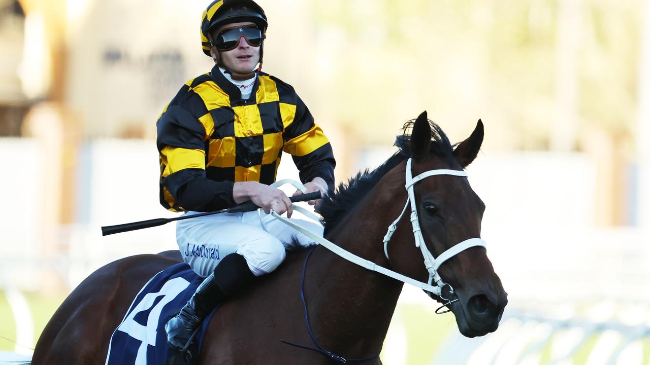 Apa yang dikatakan joki di celana pendek dan 7 hari taruhan