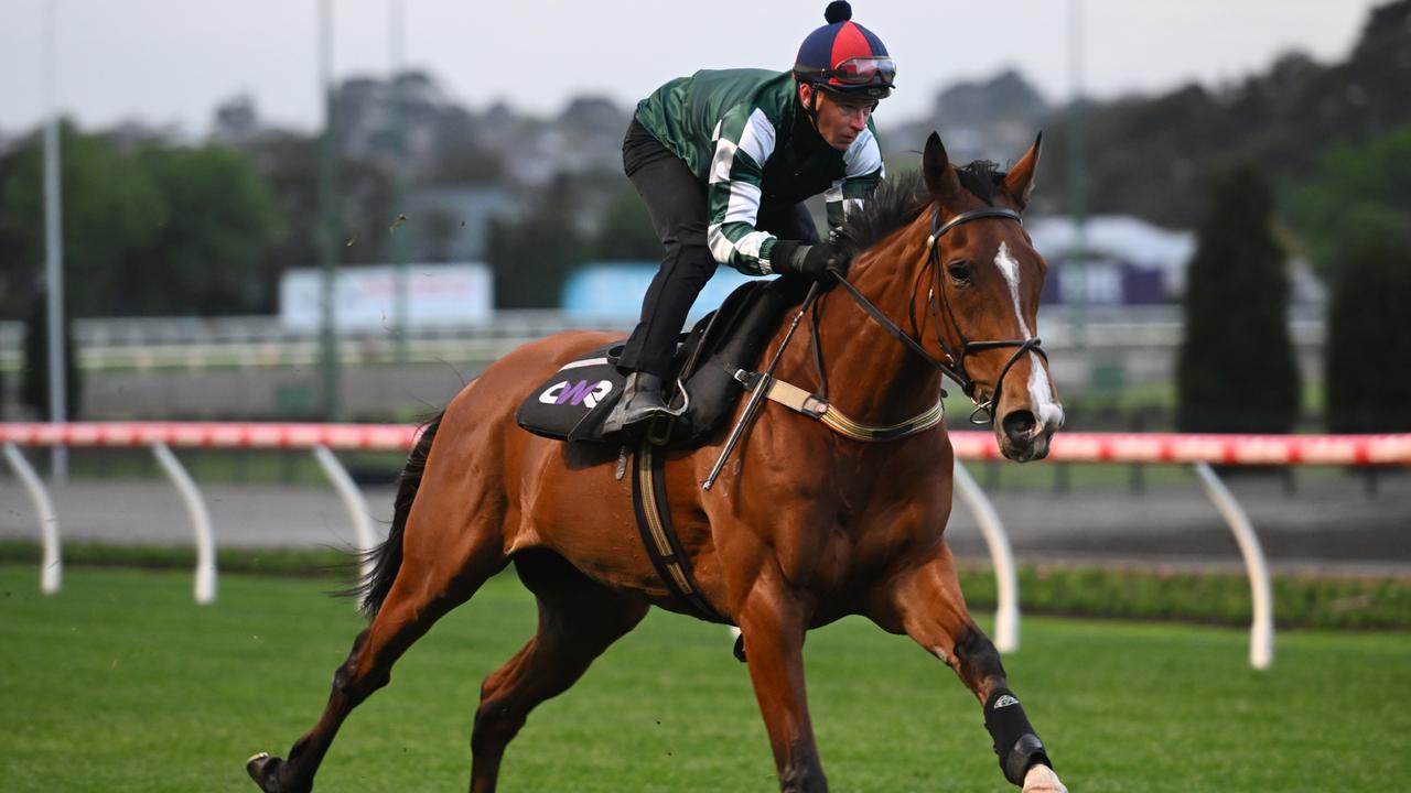 Turnbull Stakes: Chris Waller menimbang kuda bintang yang membelah melalui Sistina dan Aeliana