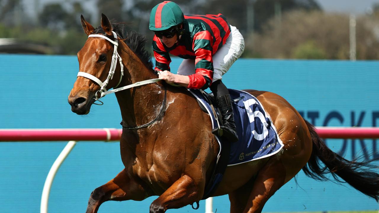 Lapangan terakhir untuk Taruhan Manikato Grup 1 di Moonee Valley