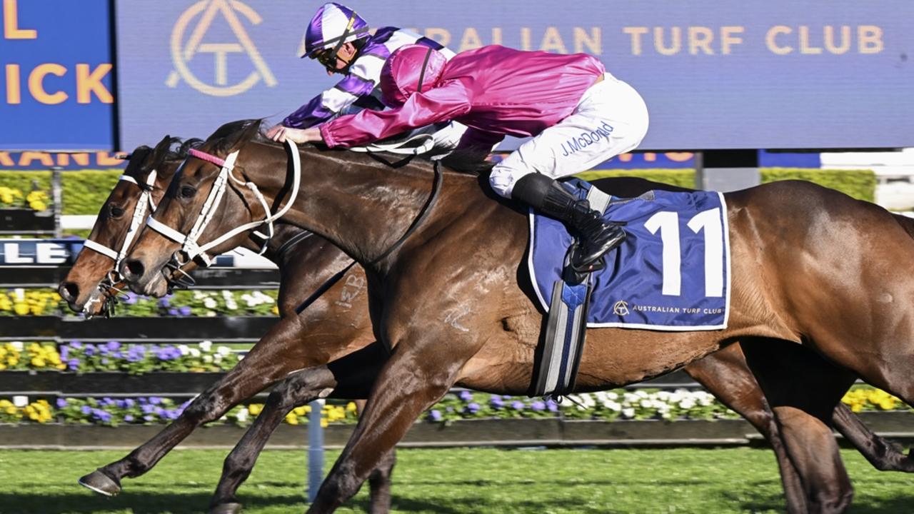 Fangirl membuktikan bahwa dia adalah ratu Randwick Mile dalam 7 taruhan