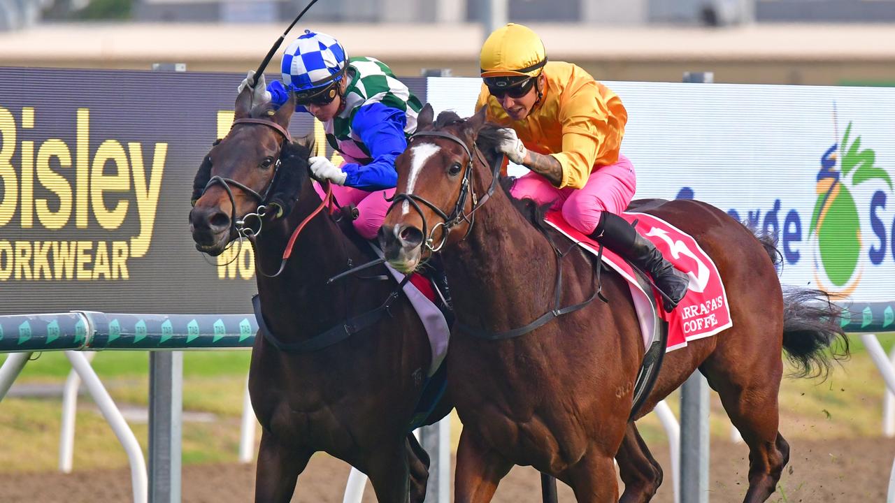Ibu bersorak saat Cejay Graham mendarat kemenangan sempit di Astero di Pink Ribbon Cup di Gold Coast
