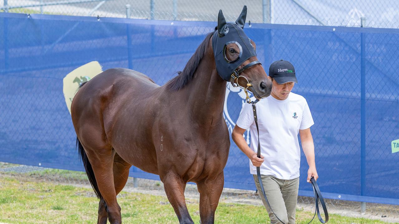 Ka Ying Rising hits tanah Australia di depan dorongan Everest bersejarah