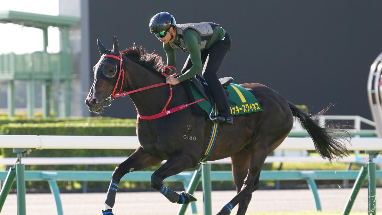 Lucky Sweynesse menyenangkan di Turf Gallop di depan tantangan taruhan Sprinters