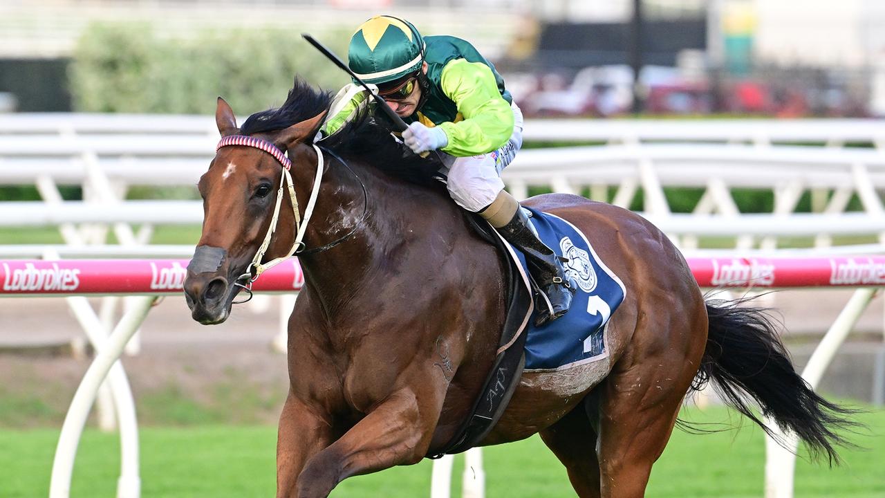Maddy Sears menegaskan batu bata kuning akan 'panjang lebih baik' di jalur kering di bill ritchie handicap di randwick