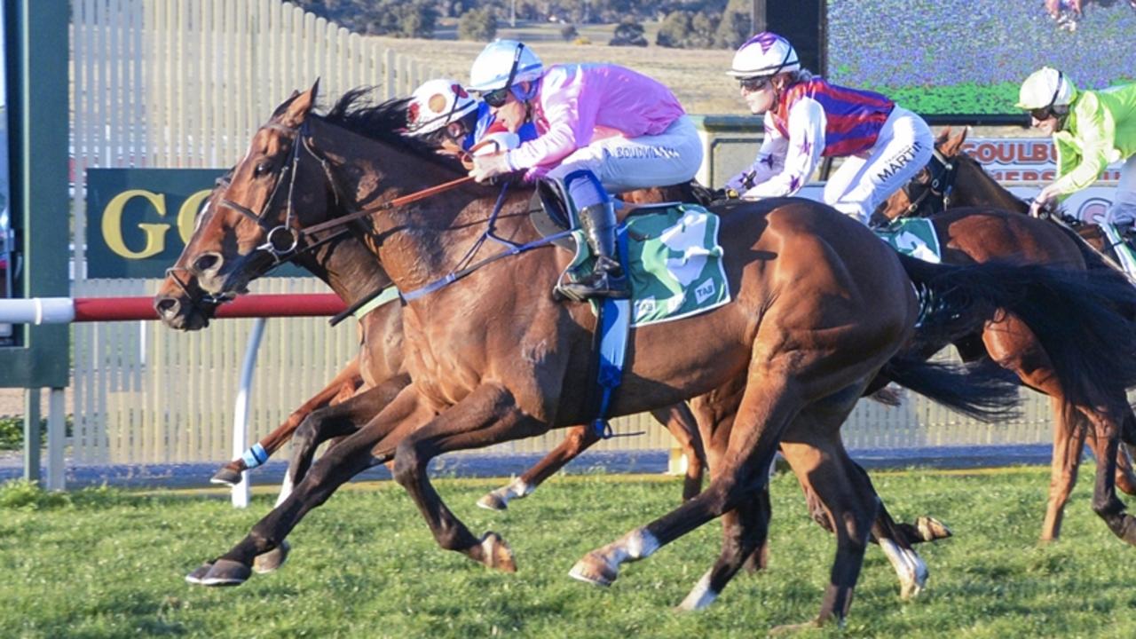 Goulburn, Hawkesbury Previews: Kunci Perubahan Gear untuk Raja Taurus