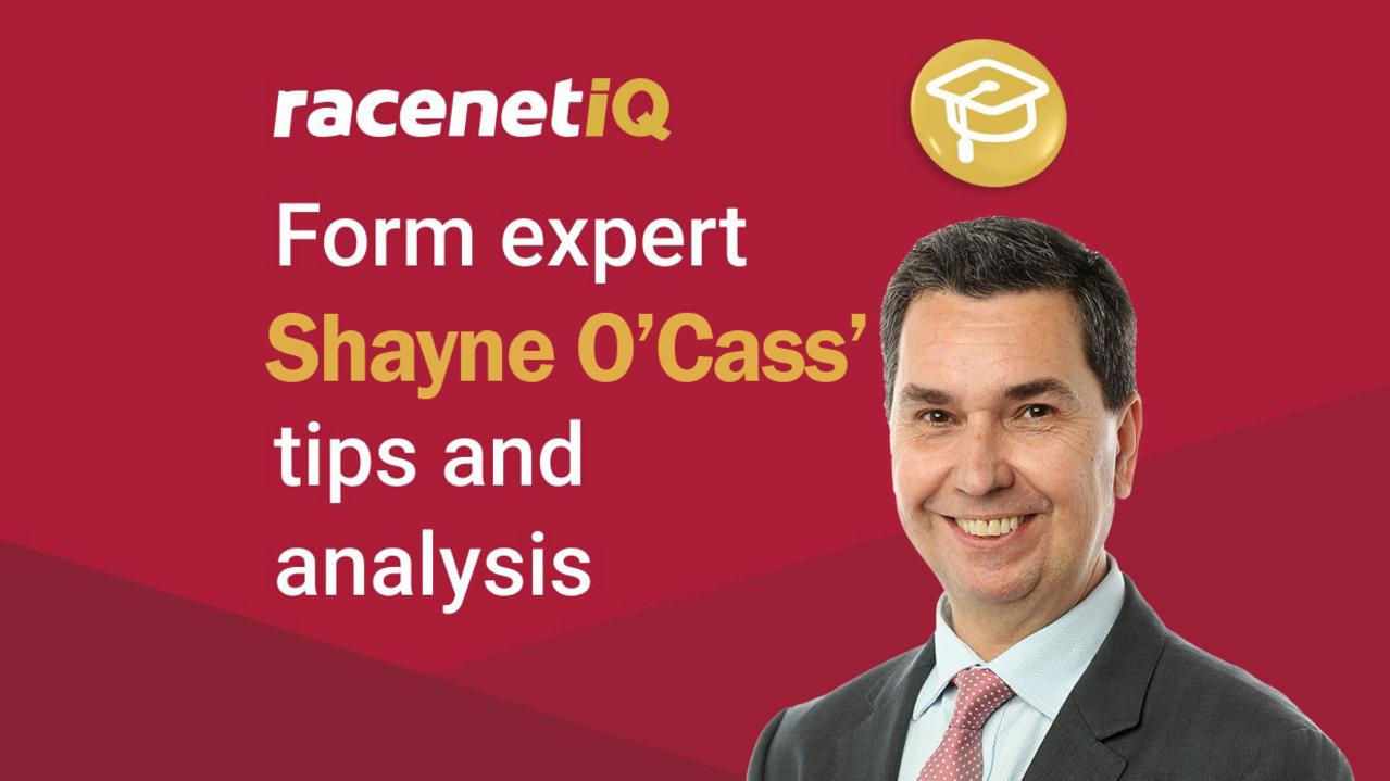 Nowra Preview, Tips: Star Shooting for Debut Win