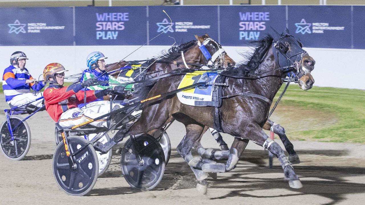 Harness Racing: Virtual Call mengarah pada persahabatan yang langgeng dan keberhasilan kepemilikan dengan Trotter Howdy Mate