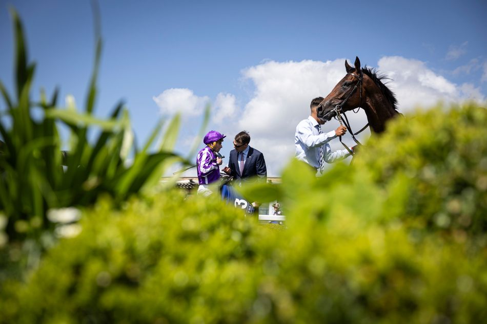 'Garis keturunan ini beradaptasi dengan sangat baik dengan kondisi kami' – Bintang Grup 1 Delacroix akan berangkat ke Australia