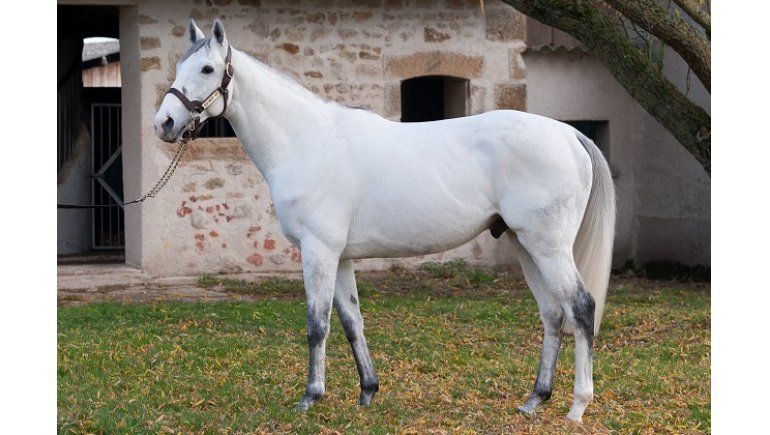 Buku kecil, dampak besar: Terbang Bersamaku menantang rintangan sebagai seorang bintang yang sedang naik daun