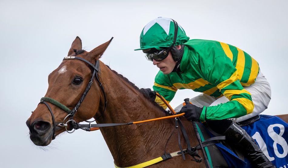 'Ini brilian' – Harry Cobden menjadi pemenang pertama untuk bos baru JP McManus di tanah Irlandia