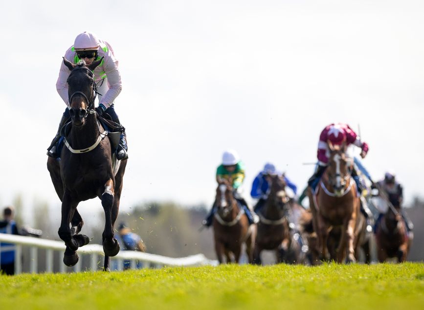 'Wow, itu sesuatu yang lain' – Willie Mullins terpesona dengan kemenangan gemilang Kelas 2 untuk pelari gawang pemula