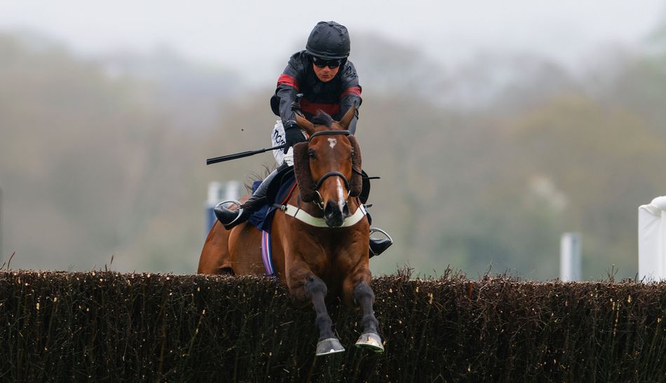 'Dia kuda yang brilian' – Scarface kembali membintangi pembuka musim Newton Abbot untuk Joe Tizzard