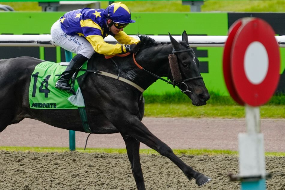 Pembelian murah Neil King senilai £3.000 menghasilkan perlombaan senilai £50.000 untuk pemilik baru – dan pelatih mengincar handicap Glorious Goodwood