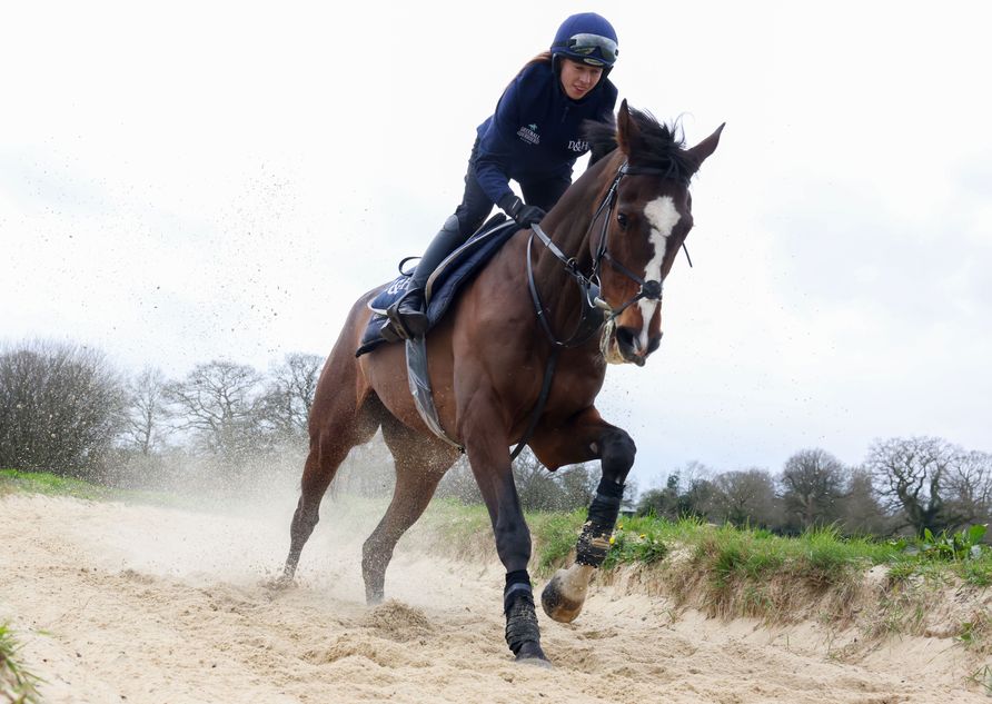 Jika mereka cukup bagus, berarti mereka sudah cukup umur – apakah anak berusia tujuh tahun milik JP McManus ini adalah anak yang tepat untuk Grand National?