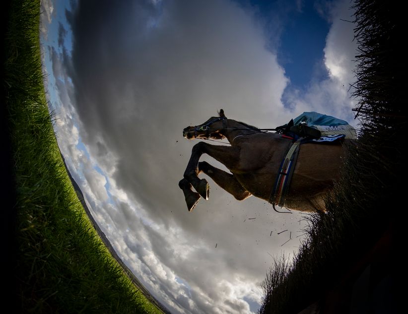 Jukebox Kid memiliki kemiripan dengan Haiti Couleurs – tetapi kuda dengan beberapa peningkatan performa akhir pekan ini adalah bahaya besarnya