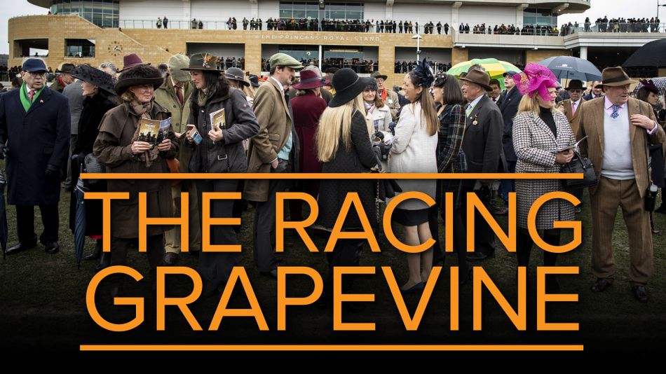 Dari pembersih Alton Towers hingga balap Arab – komentator arena pacuan kuda baru Inggris kini siap untuk 'pekerjaan impian'