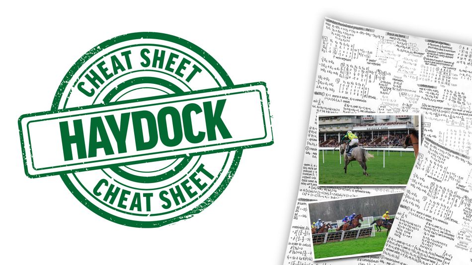 'Dia sedang dalam performa yang sangat bagus musim ini' – fokus balapan, tiga kuda yang perlu diperhatikan dan kutipan terbaik untuk kartu ITV Haydock