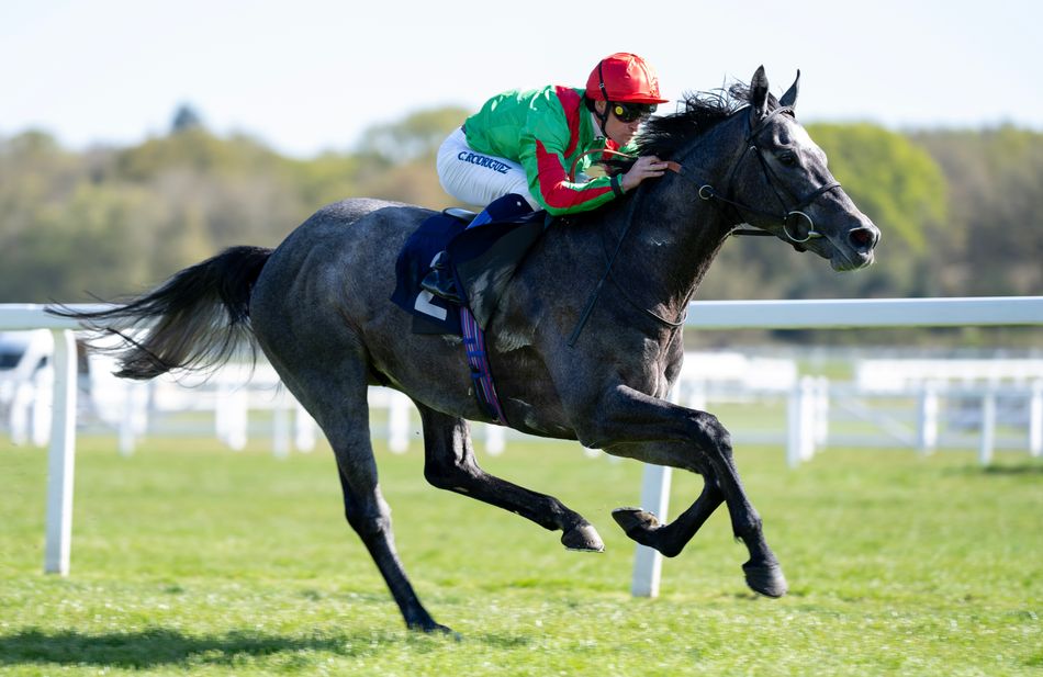 Perjalanan Ghaiyyath berlanjut dengan pemenang Kempton, Gethin, yang terbaru mengincar puncak